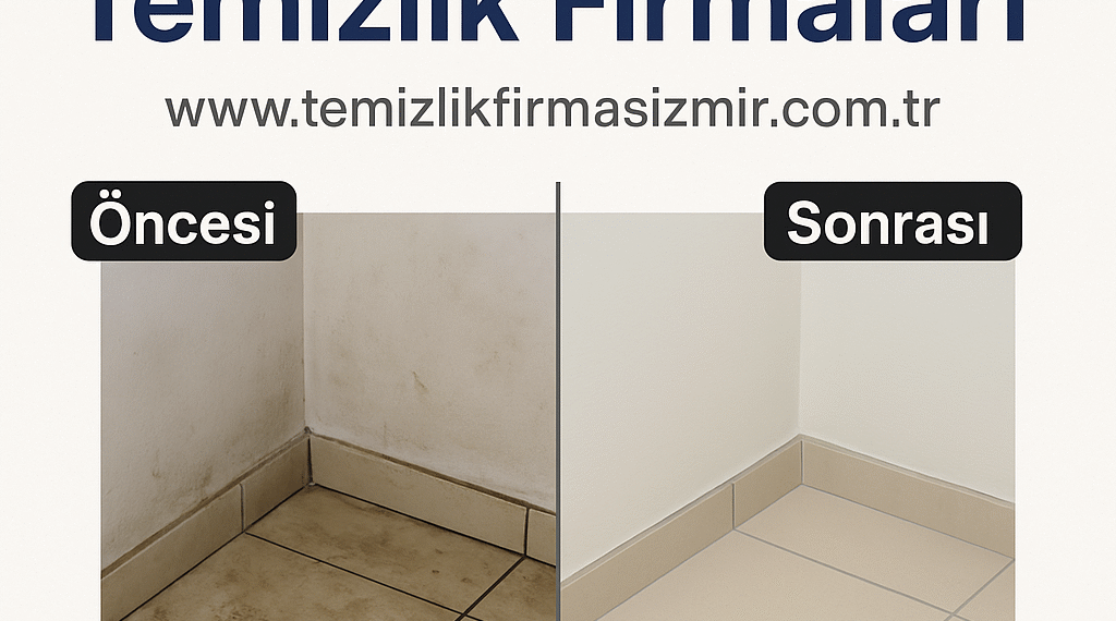 Balçova Temizlik Firmaları