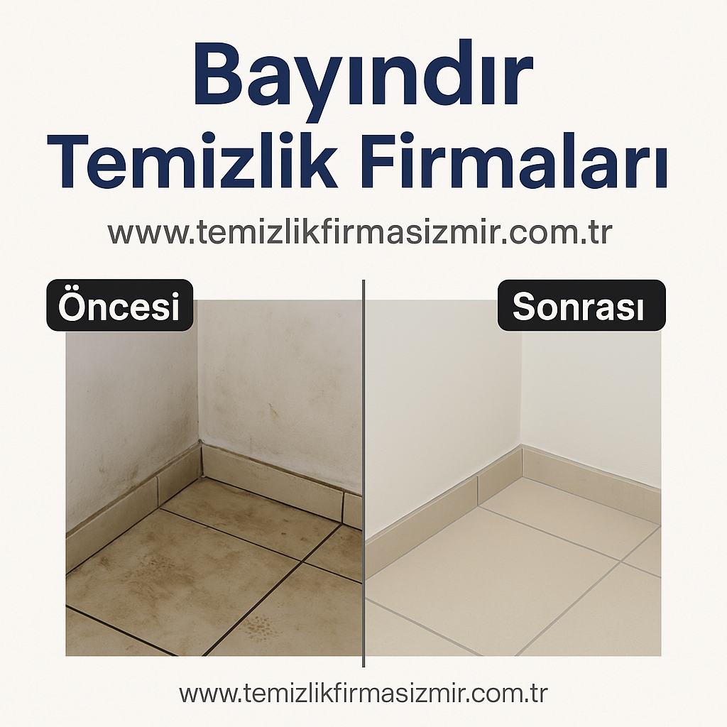 Balçova Temizlik Firmaları