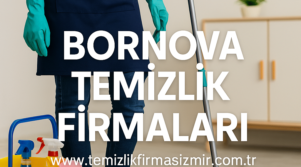 Bornova Temizlik Firmaları