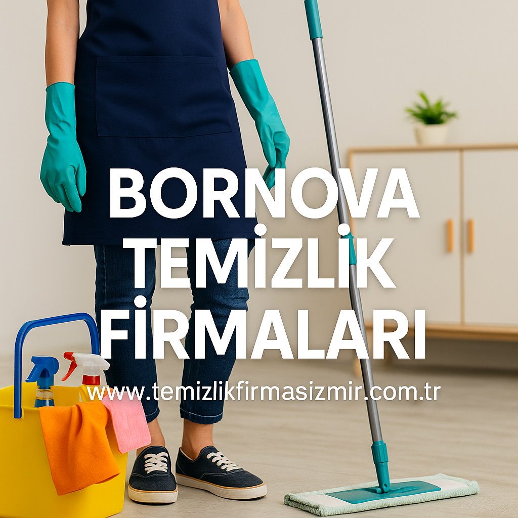Bornova Temizlik Firmaları